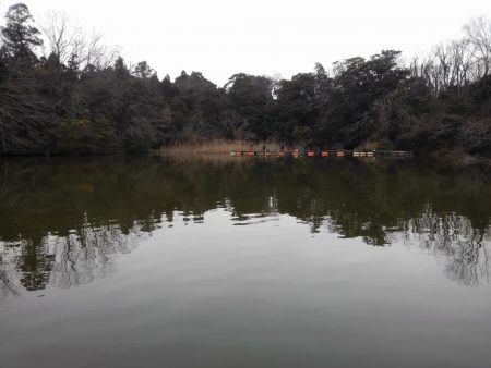 大安トラウトレイク 釣果